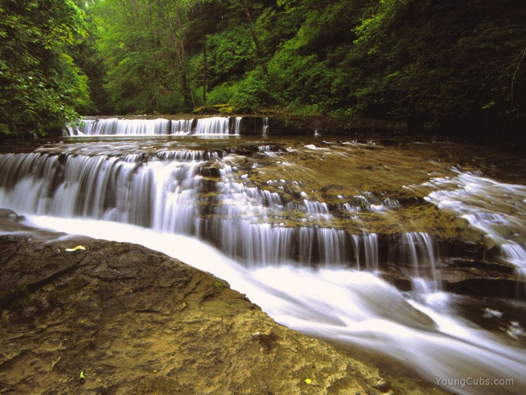Sweet Creek, Siuslaw National Forest, Oregon